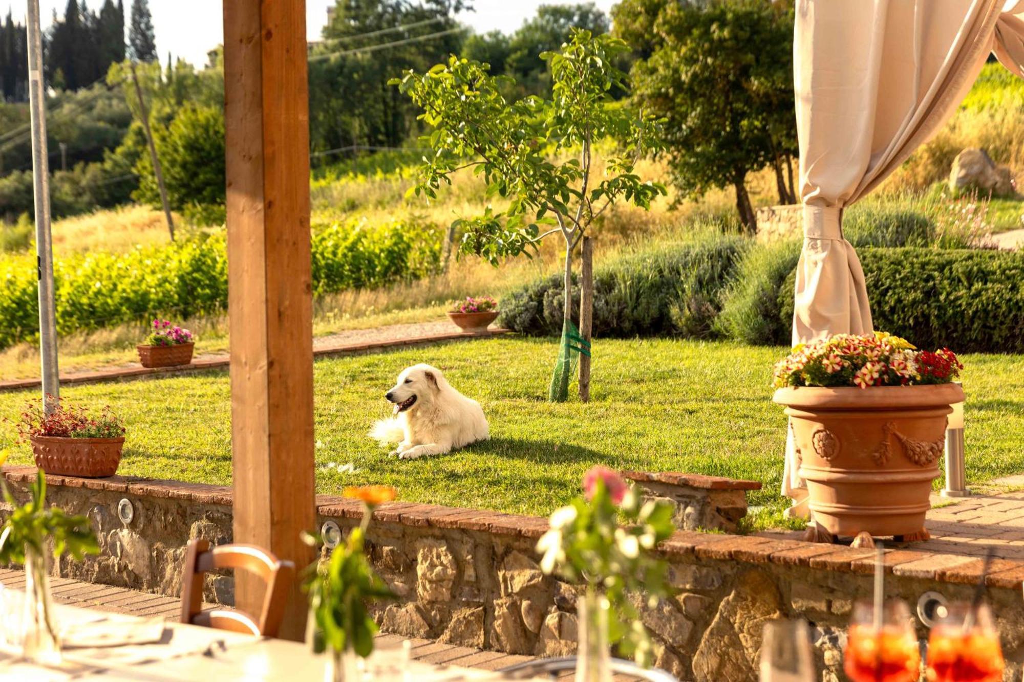 Azienda Agricola I Colli Di Marliano Lastra a Signa Εξωτερικό φωτογραφία